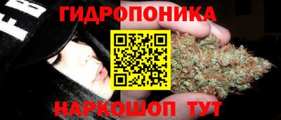 гашишное масло Шелехов