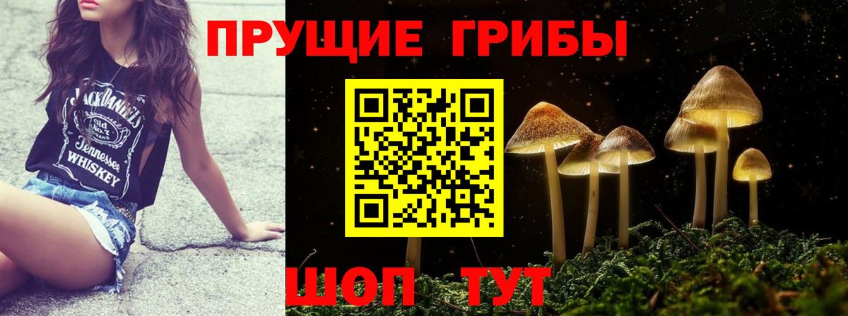 Будённовск  Галлюциногенные грибы мухоморы  Псилоцибиновые грибы Psilocybine cubensis  Вход с VPN 