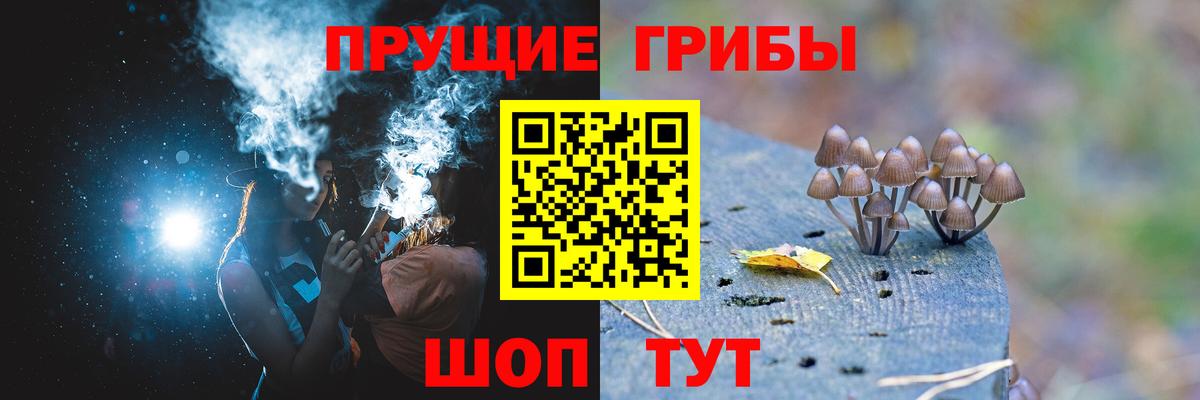 Псилоцибиновые грибы Magic Shrooms Будённовск